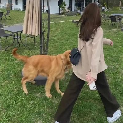 惊奇的传闻